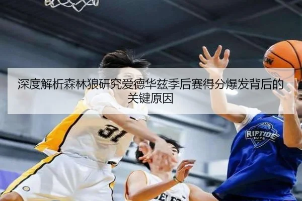 深度解析森林狼研究爱德华兹季后赛得分爆发背后的关键原因