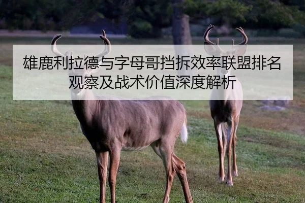 雄鹿利拉德与字母哥挡拆效率联盟排名观察及战术价值深度解析