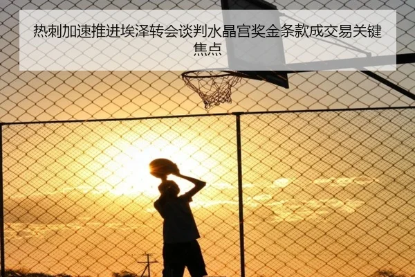 热刺加速推进埃泽转会谈判水晶宫奖金条款成交易关键焦点